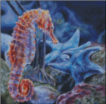 (image for) Seahorse